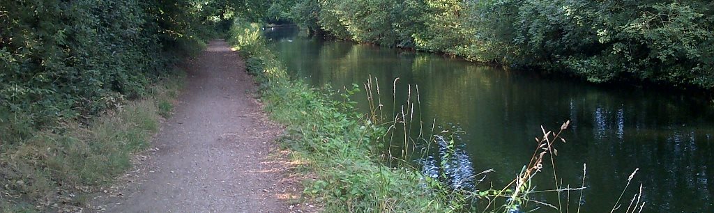 fishing the Basingstoke canal