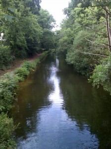 canal angling Surrey
