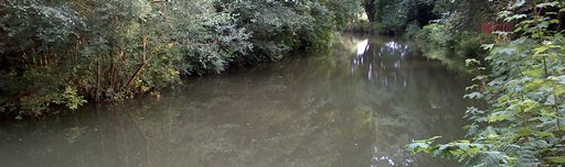 angling on the Basingstoke Canal