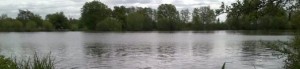 addlestone mill pond fishing lake