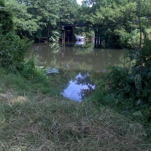 The Wey Near Weybridge