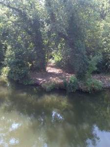 The River Wey Bridge Road Weybridge