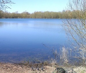 A view of the Abbey Lake Chertsey carp fishing venue on a bright spring day