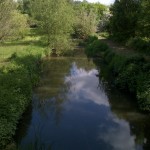 The Bramley Wey angling venue on a summer day.