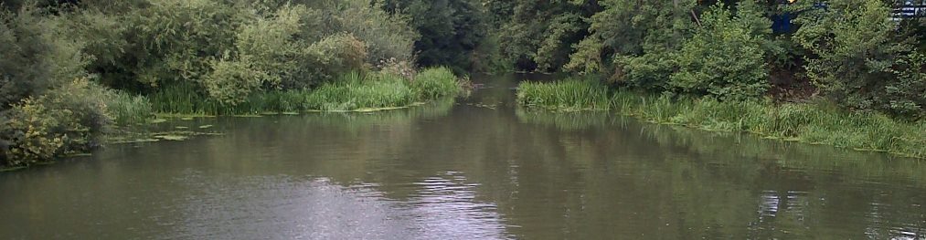 A view of the River Mole angling venue in Esher on a cloudy summer day.