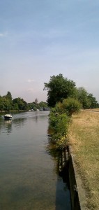 Thames fishing swims at Ferry Road, Molesey