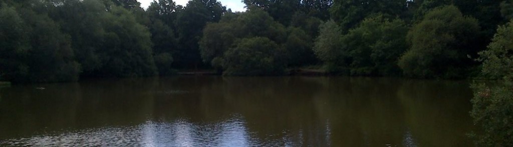 The Stew Pond in Epsom
