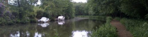 Canal fishing in Weybridge