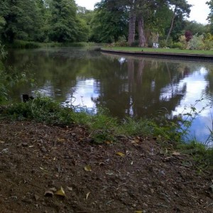 A fishing swim on the Wey Navigation in Weybridge