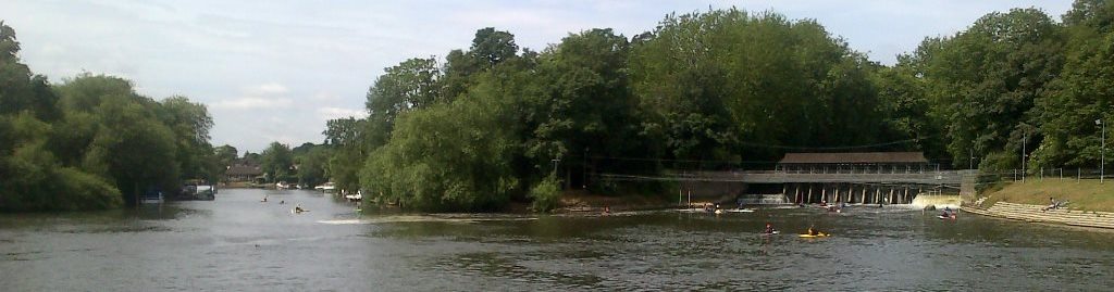 Fishing the Thames at Weybridge: free river angling in Surrey