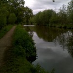 Canal fishing in Addlestone wey navigation