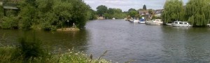 Free Thames angling: Walton Lane