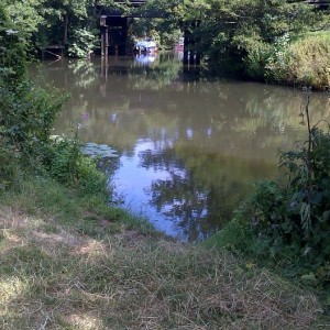 fishing at wey manor road
