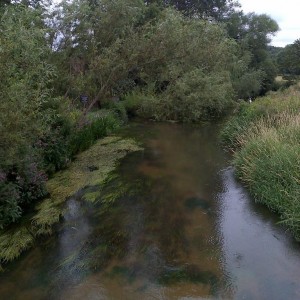 A shallow river on a summers day