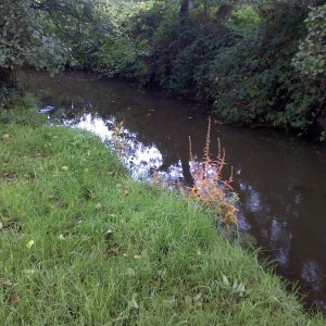 crockford park fishing