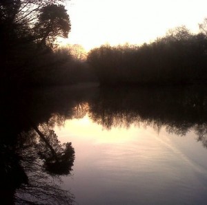 A winter dawn breaks on a clear day at a fishing lake in Chobham