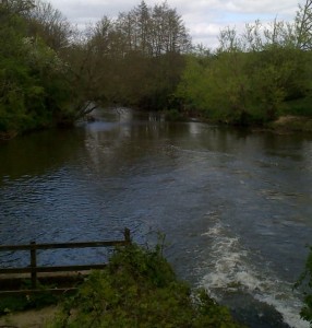 River Wey at Mill Lane, Byfleet