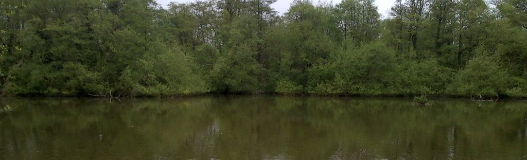 A view across the Bay Pond Angling Society's fishing venue
