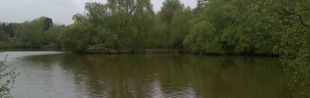 Looking across the Bay Pond angling lake in Godstone