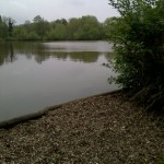 Looking across Bay Pond from one of the angling swims