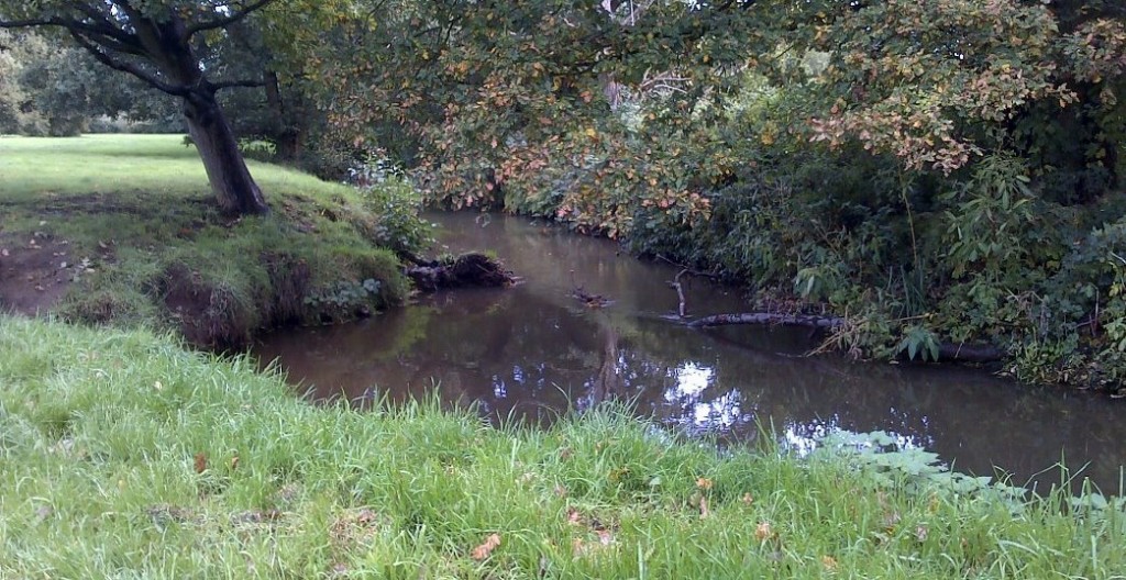 Looking across the Bourne in Seyes Court where the Bourne Anglers hold the fishing rights