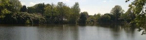 A view across Cobbetts fishing lake in Send, Surrey, on a summer afternoon