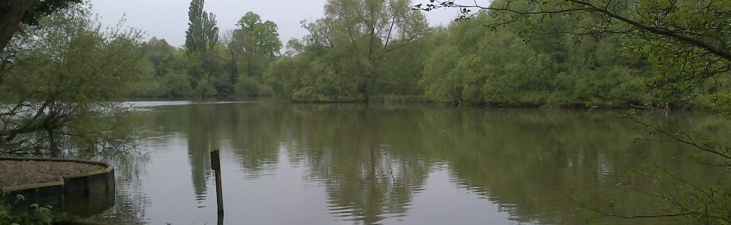 A view of a fishing lake at Godstone: Bay Pond