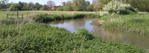 A view of the River Wey in meadows near Old Woking where fishing is allowed