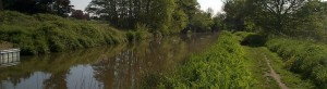 A view of the Wey Navigation at Send, where angling is permitted, on a summer afternoon