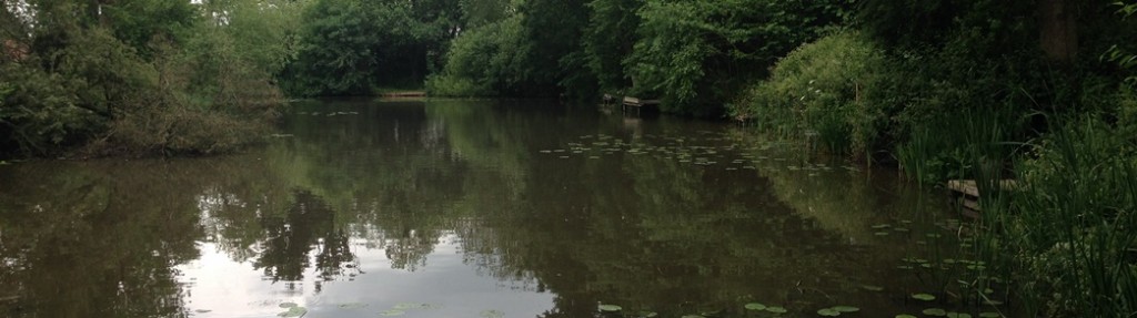 The Coach Road Pond fishing venue at Brockham viewed on a cloudy summer afternoon