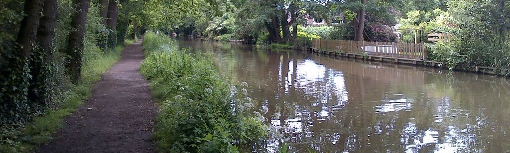 A view along the Wey Navigation in Byfleet with towpath to the left and gardens on the far bank.