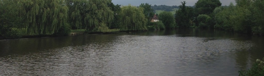 Looking eastwards along the Mill Pond angling venue in Dorking