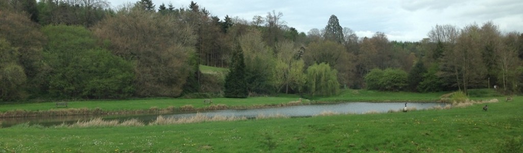 A view of Weston Fishery trout lake in Albury on a spring afternoon