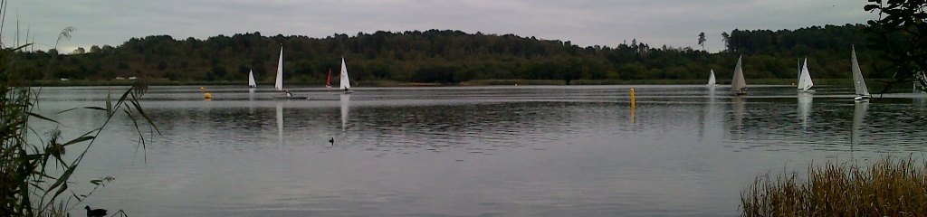 A view across Frensham Great Pond angling lake in Frensham. Looking westwards.