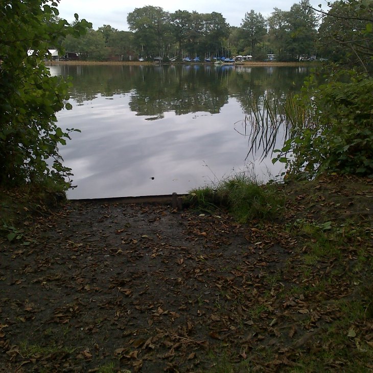A fishing swim at Frensham Great Pond