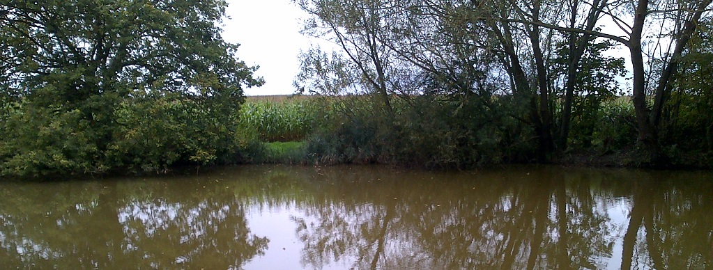 A view of the Send Angling Society pond at Prews Farn in Send Marsh, near Tannery Lane.
