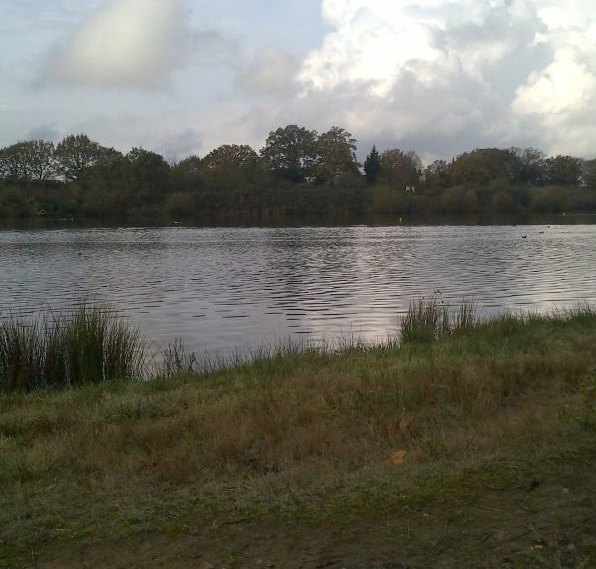 A view of a swim at Papercourt angling venue in Ripley, Surrey