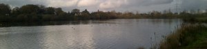 A view across the north of Papercourt main lake fisging venue on an autumn day