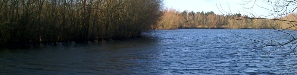A view across Thorpe Lea fishing lake in winter sunshine. The water is choppy and the tree lined edge of an island is visible to the left.