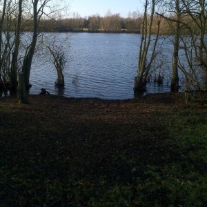 Looking out from an angler's swim at Thorpe Lea angling lake