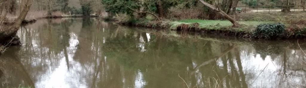 A view in the winter across a River Wey angling venue near Godalming.