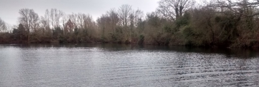 A picture of the Lagoon on the east side of Ellis Water in late winter, a tree lined shore