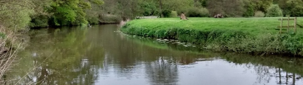 A view of the River Mole at Betchworth in Surrey, looking across meadows with a tree lined near bank