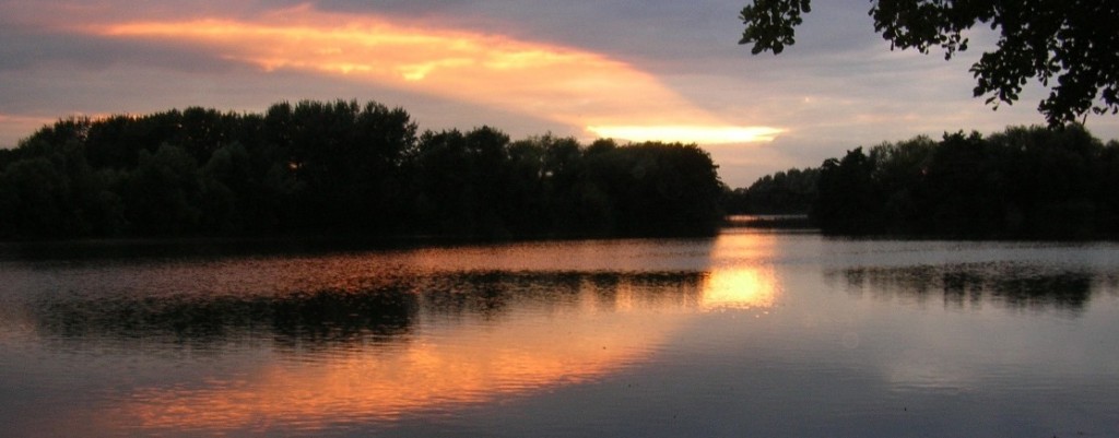 A view across Kingsmead One angling lake on a summer evening at sunset