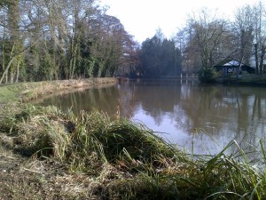 A view of the Wey Navigation angling venue near Weybridge on a bright winter day