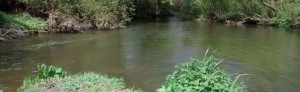 A view downstream of the River Mole at Fetcham splash on a bright day