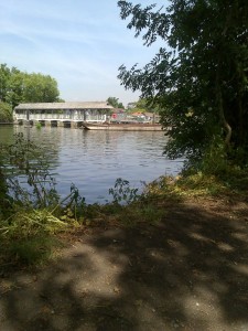 A shady spot for fishing on the Thames at Walton, on a summer day.