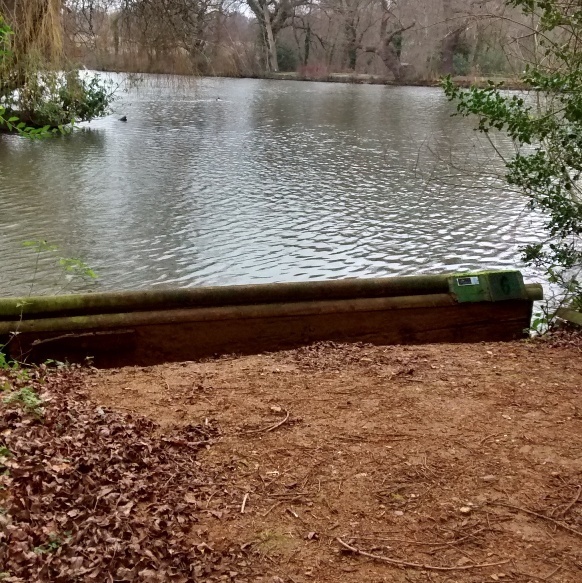 A view of a fishing spot on the Brittens Pond angling venue.