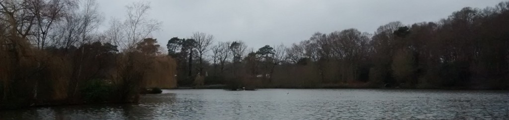 A view aross the large Brittens Pond angling spot on a cloudy winter day. Two islands are present.