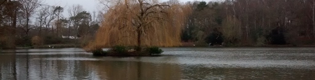 A view of a fishing venue in Guildford, Brittens Pond, on a cloudy winters day, with an island in the centre of the picture